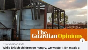 Guardian Opinions